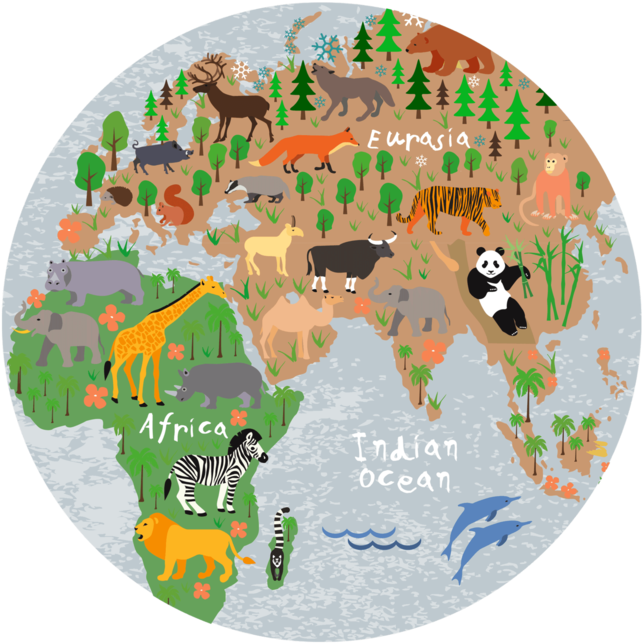 World Map Round Coaster - Map (800x800), Png Download