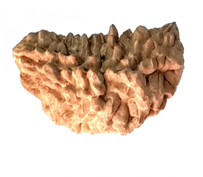 Rock (700x850), Png Download