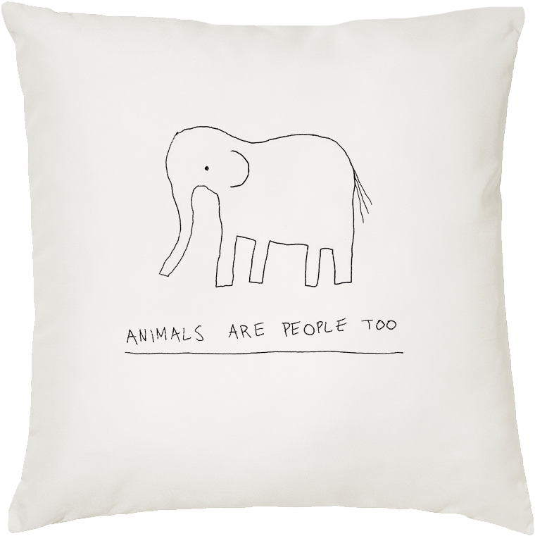 Shop - Cushion (800x856), Png Download