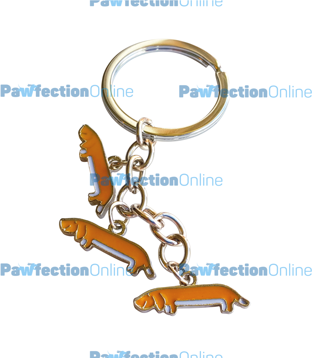 The Three Stainless Steel Orange Dachshunds Make Such - Keychain (1200x1200), Png Download