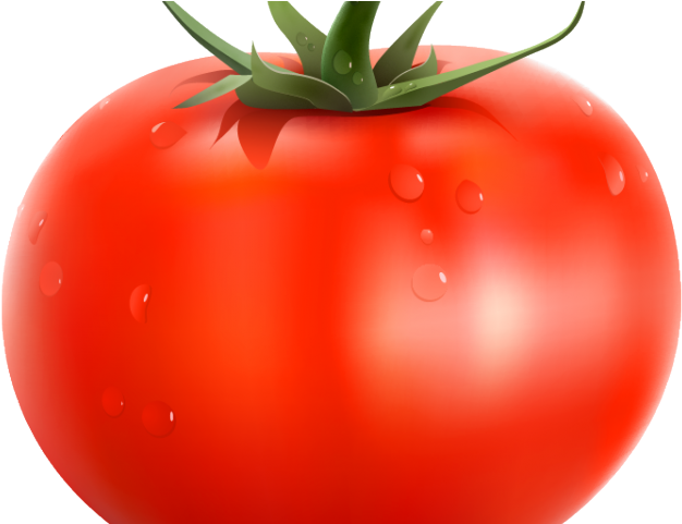 Vegetables Clipart Vegtable - Tomato Graphic Transparent Background (640x480), Png Download