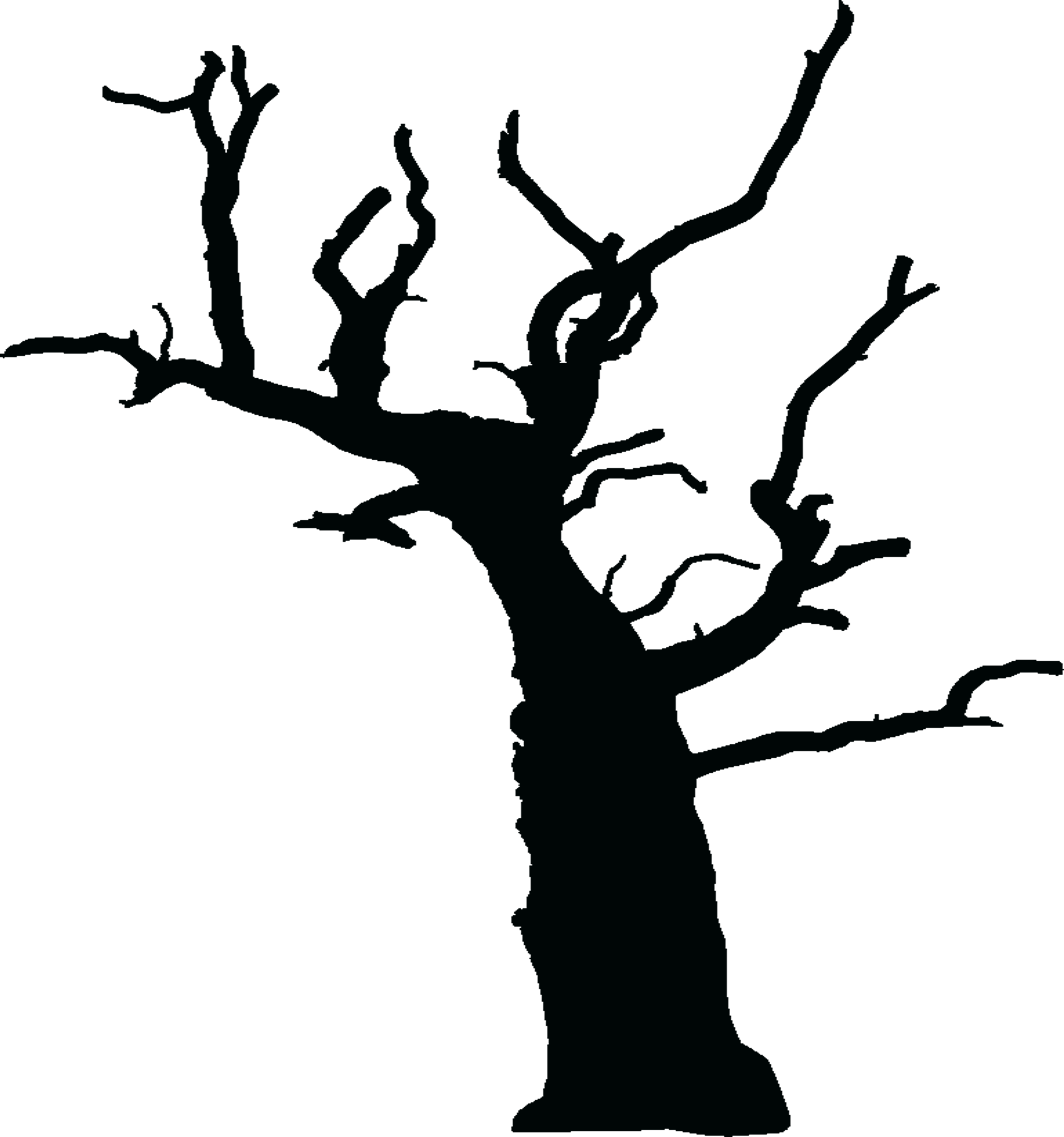 A2 Media Tom Elsworth - Tree Png (4961x4961), Png Download