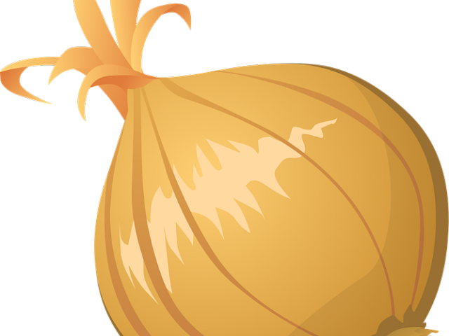 Related Posts - Onion Art Transparent (640x480), Png Download