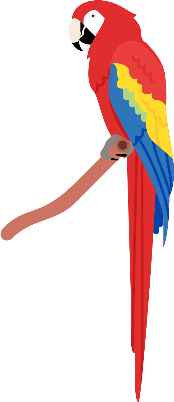 Parrot Poster - Macaw (1641x2201), Png Download
