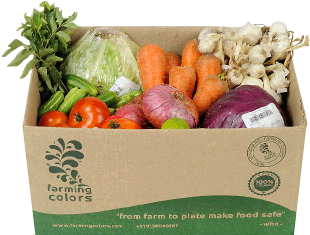 Phone 9496-055551 - Cabbage (655x489), Png Download