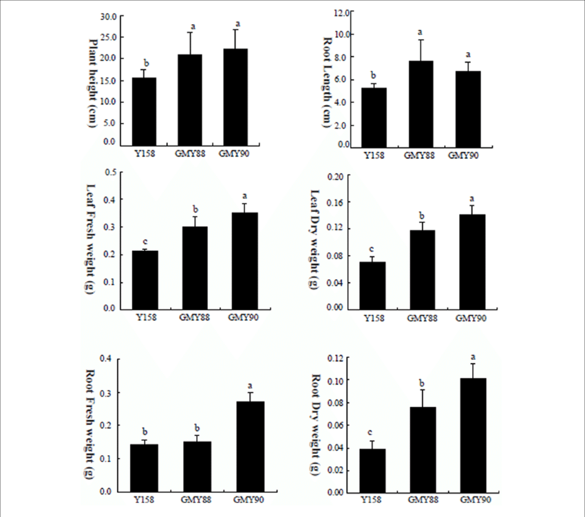 Quantitative Analysis Of The Plant Height, Root Length, - Diagram (850x752), Png Download
