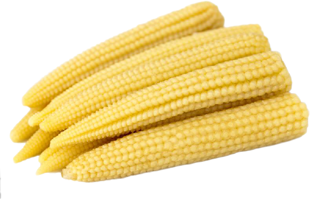 Baby Corn - Baby Corn Thailand (1000x1000), Png Download