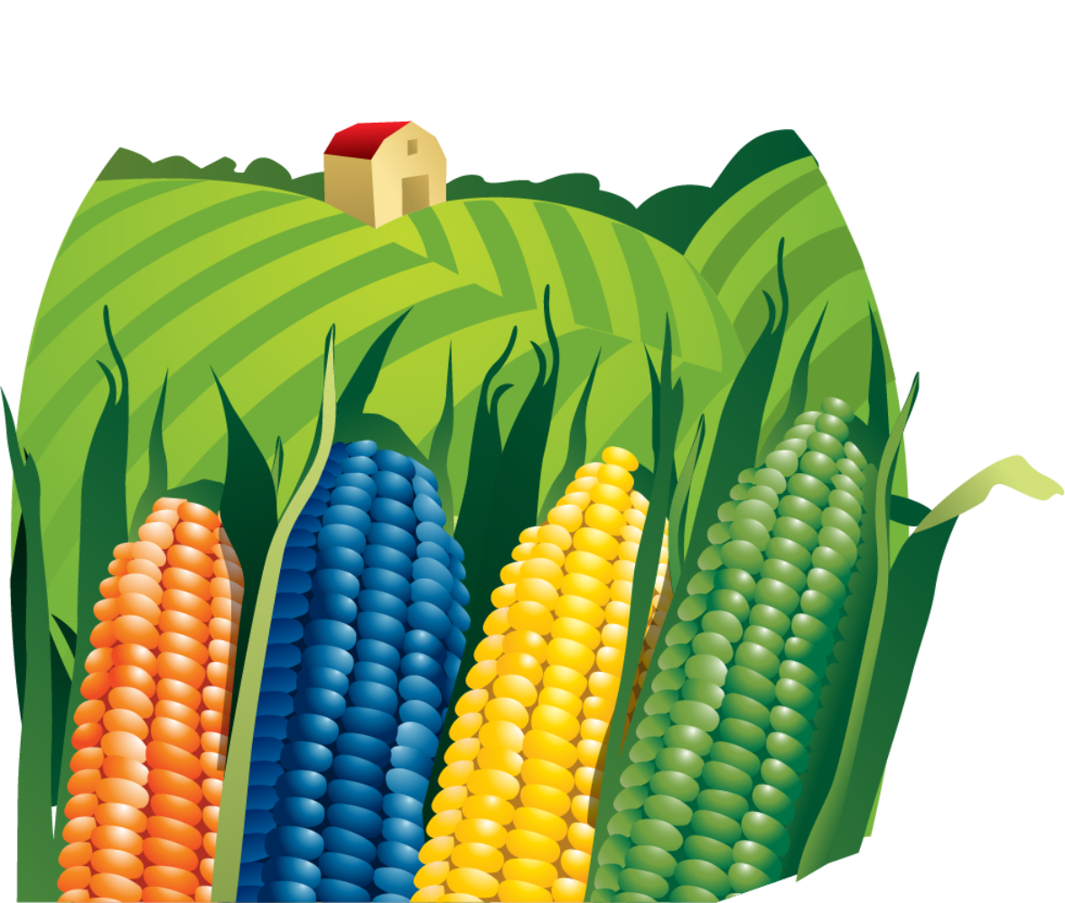 Cornfield Clipart Corn Farm - Logo De Una Agricultura (1179x1000), Png Download