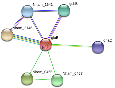 Download Diagram | Transparent PNG Download | SeekPNG
