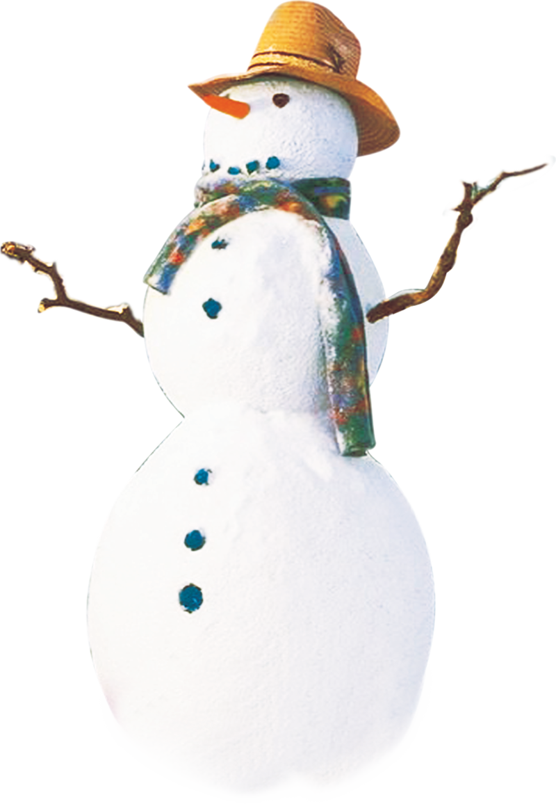 Snowman Claus Hat Christmas Santa Hd Image Free Png - Snowman (800x1156), Png Download