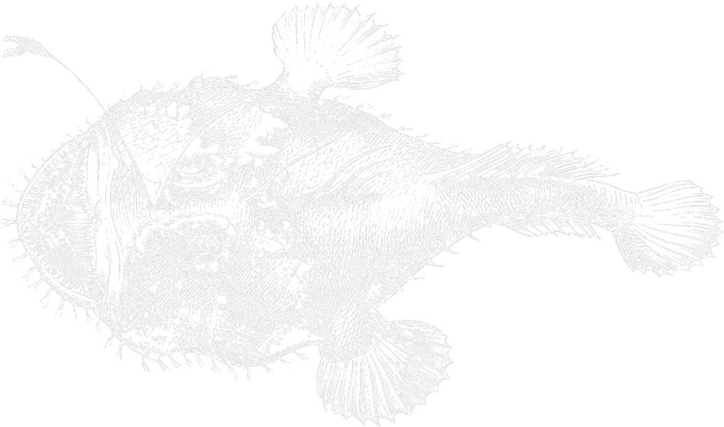 Monkfish - Marine Biology (1018x601), Png Download