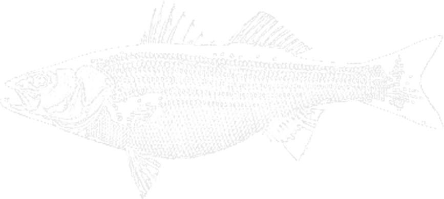 Marine Biology (867x389), Png Download