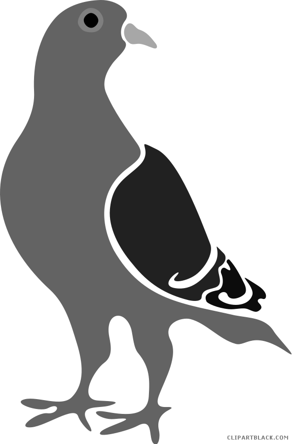 Pigeon Clipart - Pigeon Silhouette (594x900), Png Download