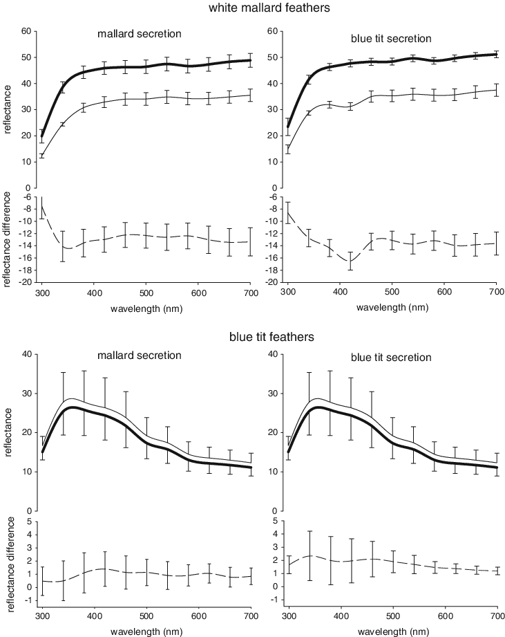 Preen Gland Diagram Images Gallery - Diagram (731x921), Png Download
