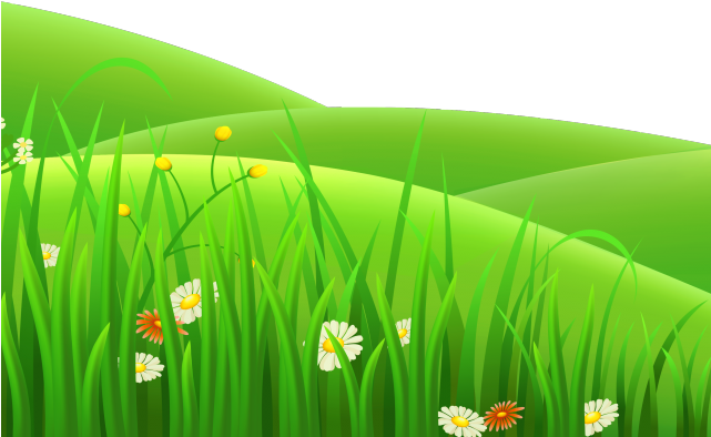 Grass Clipart Clear Background - Garden Grass Clipart Png (640x480), Png Download