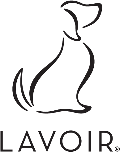 Artboard 17 Copy@2x - Line Art (801x800), Png Download