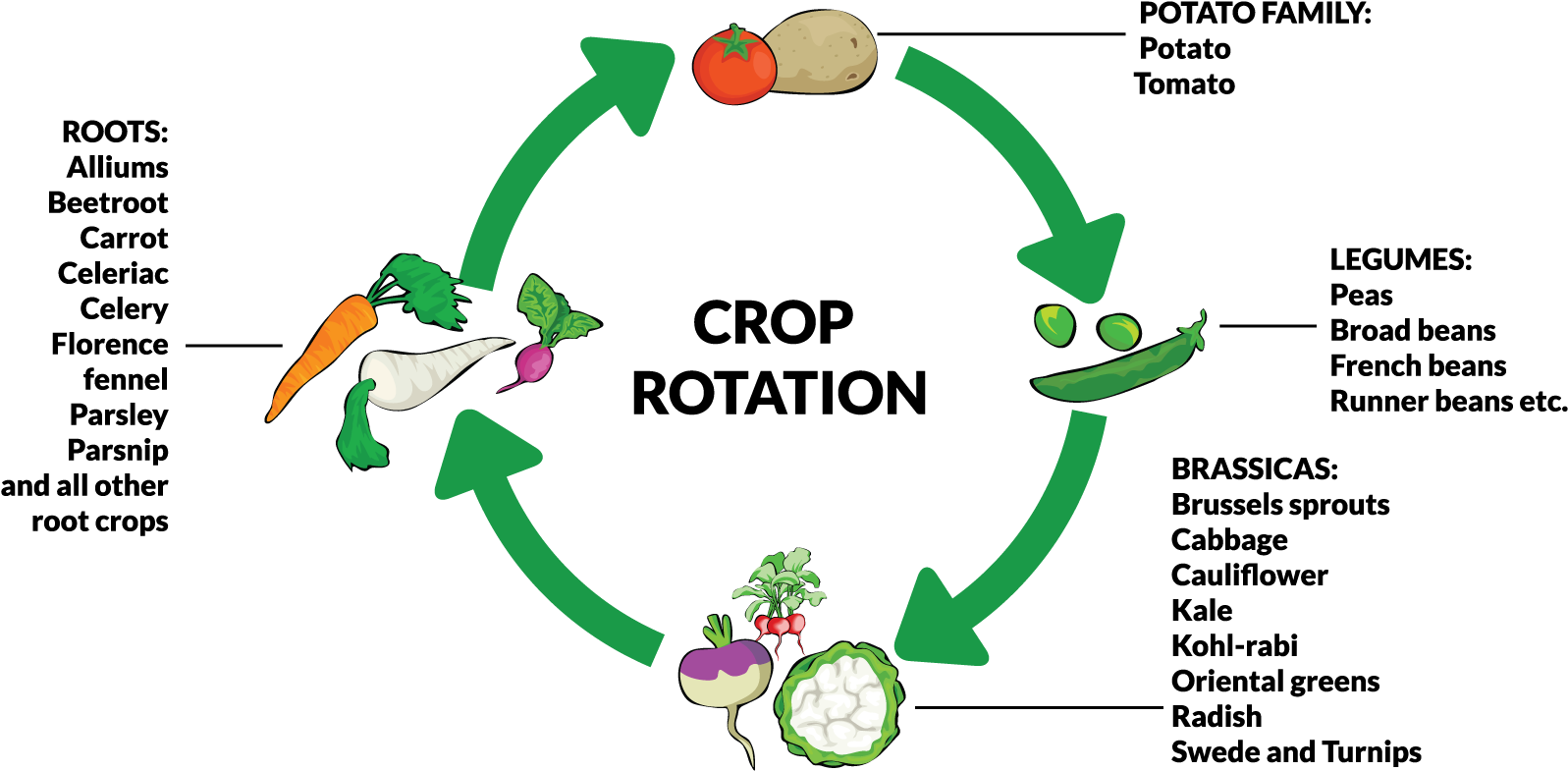 Source - Https - //www - Fruithillfarm - Com/wordpress/wp - Crop Rotation (1640x864), Png Download