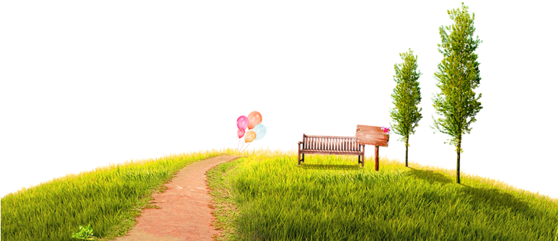 Park Png Hd Photo - Park Border Clipart (800x560), Png Download