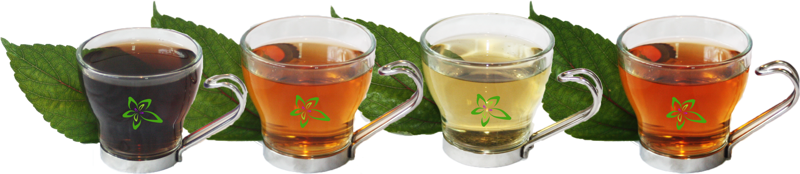 Organic Mamaki Hawaii Health - Cup (3000x1200), Png Download