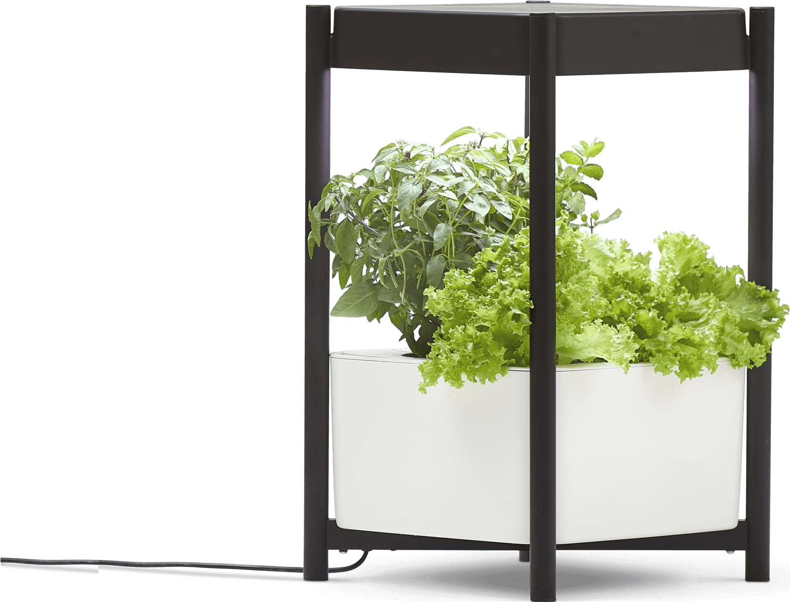 Miracle-gro® Twelve™ Indoor Growing System - Tree (2156x1186), Png Download