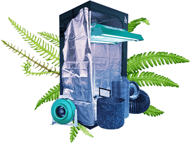 Grow Tents & Kits - Tree (664x504), Png Download