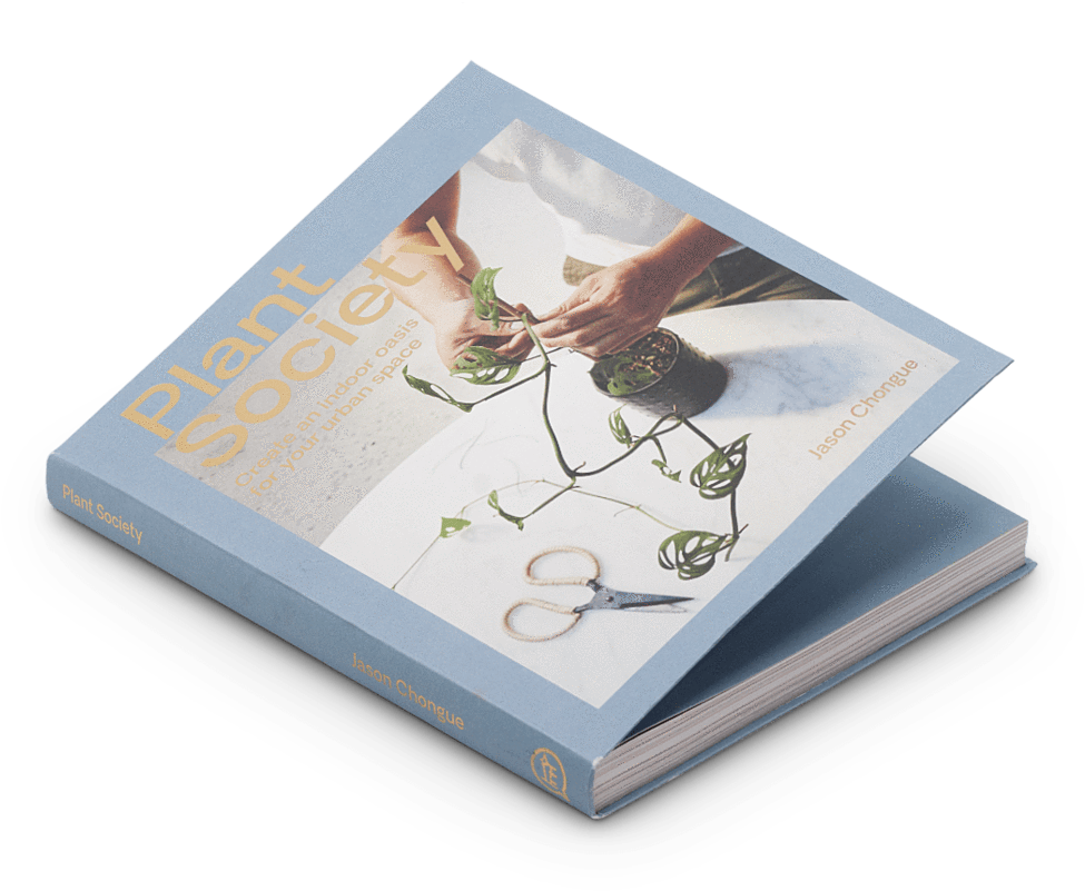 Create An Indoor Oasis For Your Urban Space - Sketch Pad (1024x838), Png Download