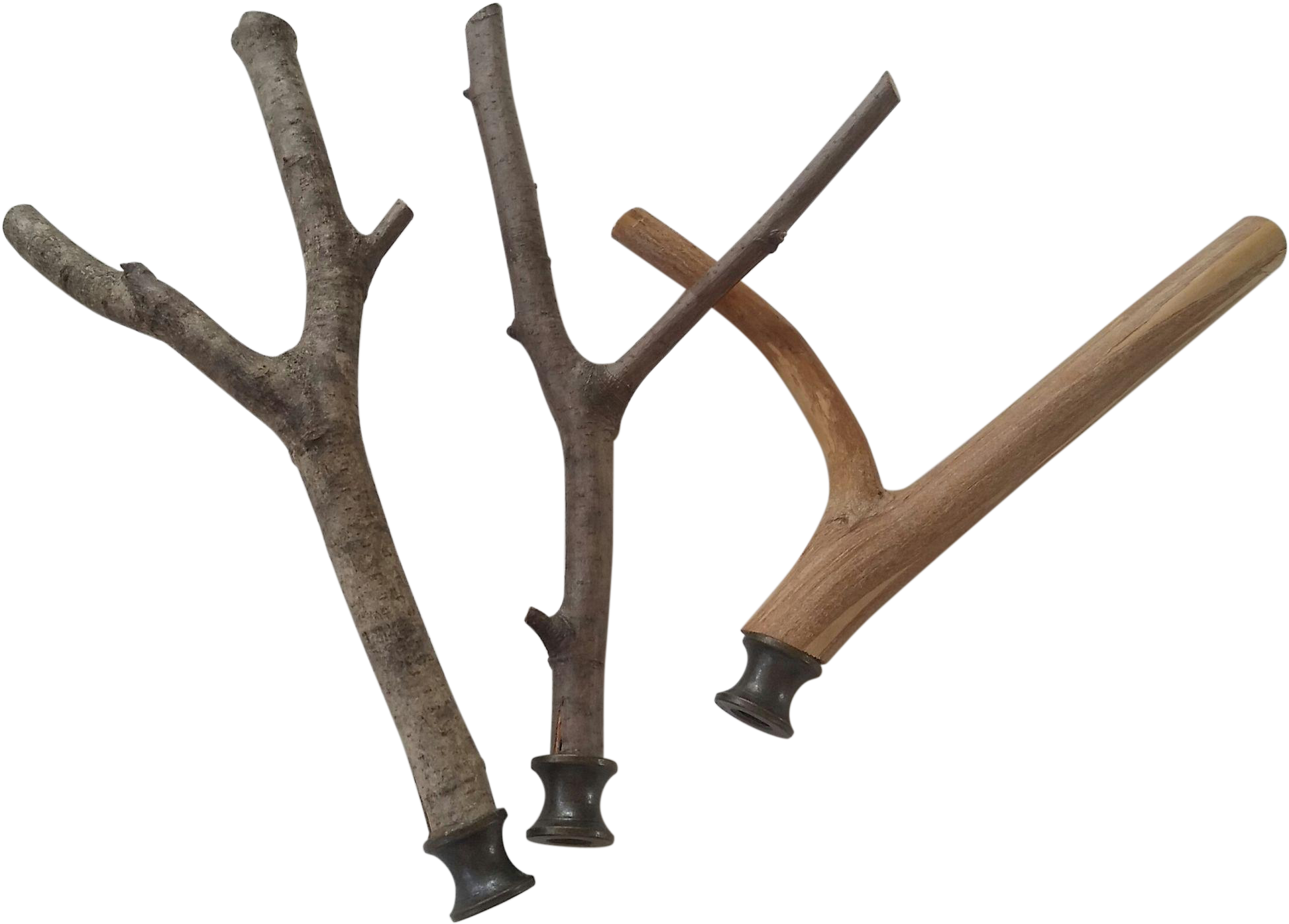 Wood (1944x1944), Png Download