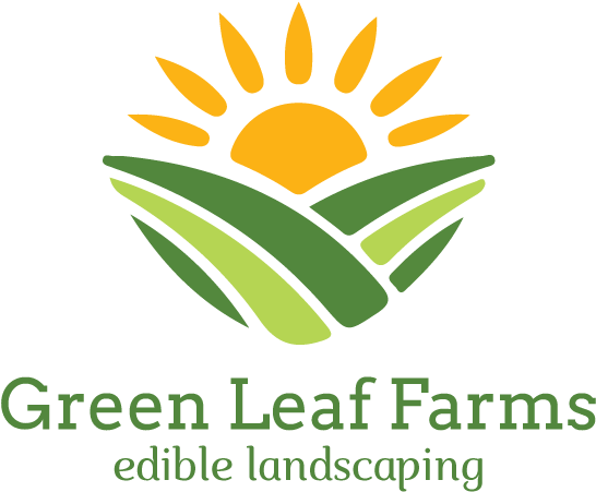 Logo Design By Antoine Shingu For This Project - Graphic Design (1200x1000), Png Download