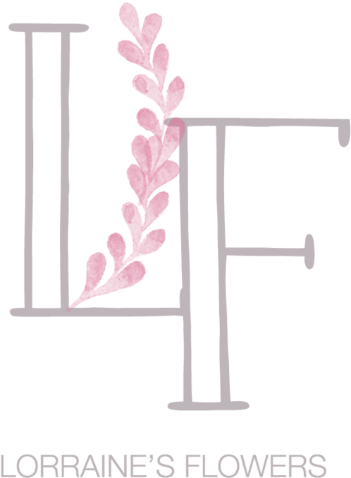 Lorrainevariation - Shelf (800x899), Png Download