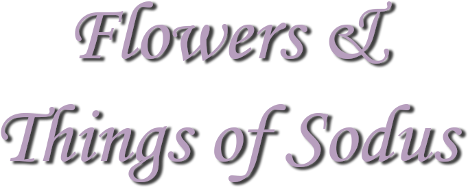 Flowers & Things Of Sodus - Calligraphy (722x432), Png Download