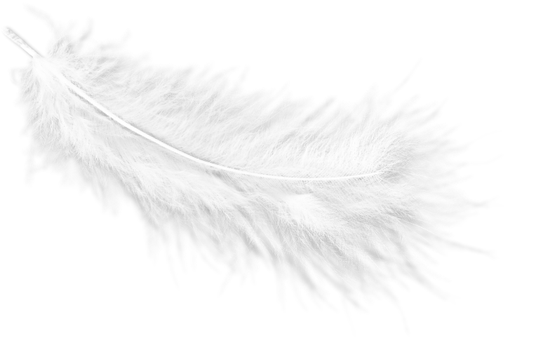 Related Image - Close-up (832x563), Png Download