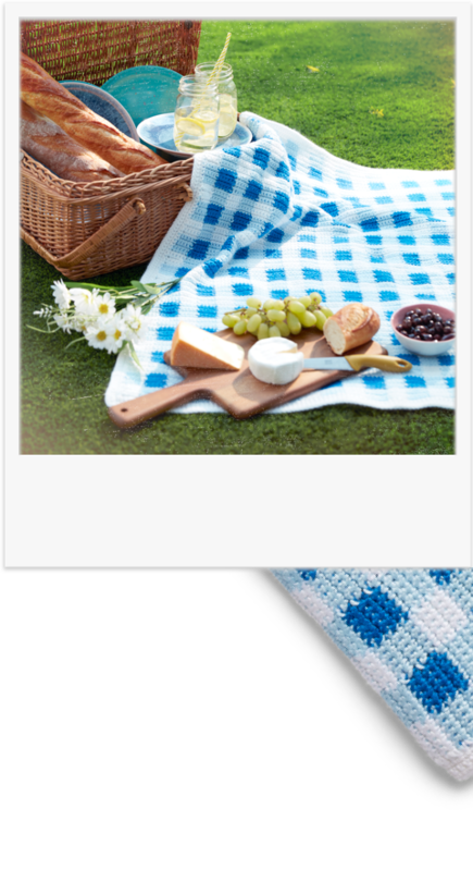 Gingham Crochet Picnic Blanket Group Sm - Picnic (435x799), Png Download