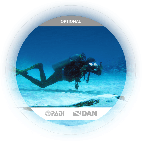 Learn More Specialty Courses - Scuba Diver (608x608), Png Download