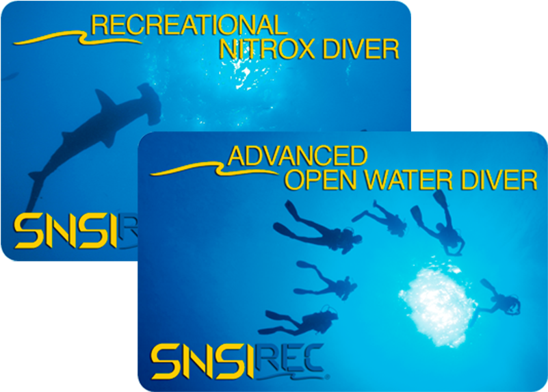 Now That Oceans Of Fun And Adventures Awaits You - Open Water Diver (800x600), Png Download