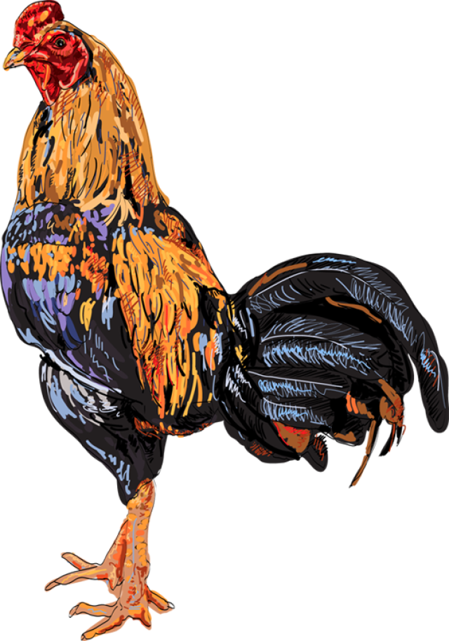 Quality Clip Art Of Animals That Live On A Farm - Clip Art (640x914), Png Download