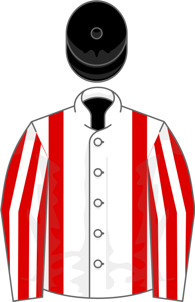 Owner Mr B Robe - Portable Network Graphics (656x1024), Png Download
