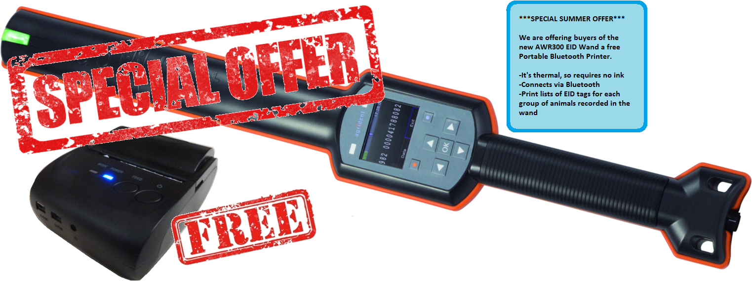 Awr300summeroffer - Strap (1560x584), Png Download