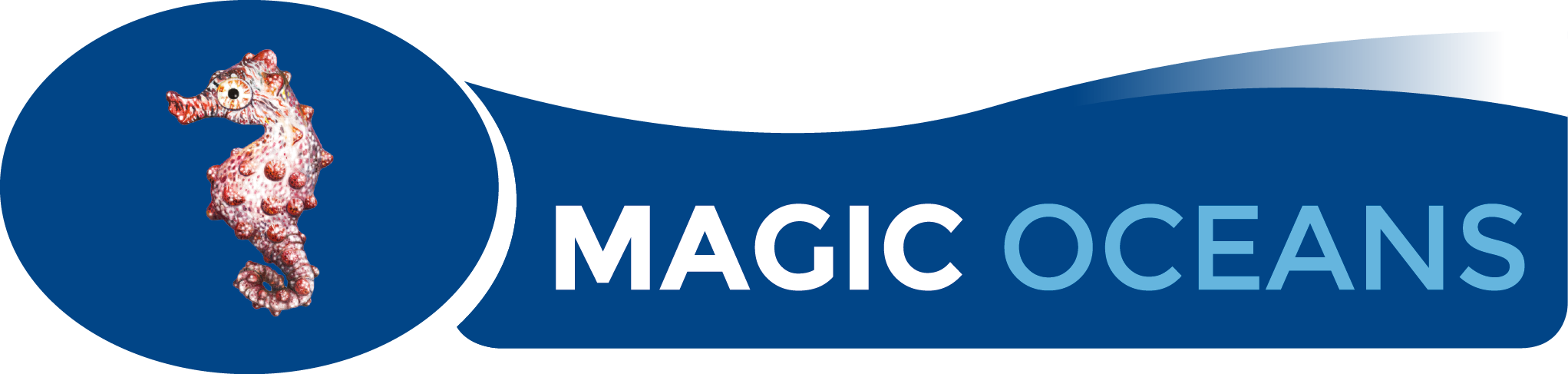 Magic Oceans Dive Resort In Anda Has A Special Offer - Banner (2043x487), Png Download