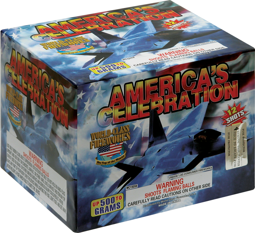 America's Celebration - Fighter Aircraft (1000x914), Png Download