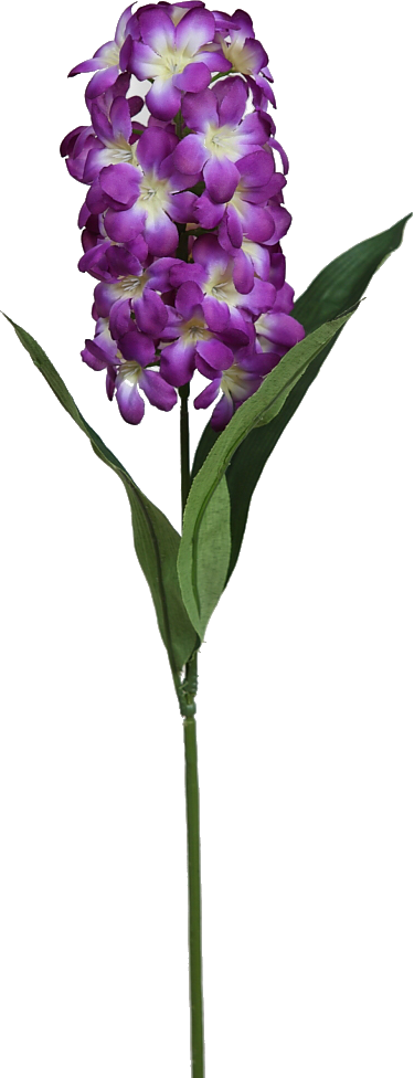Cattlianthe Jewel Box (375x976), Png Download