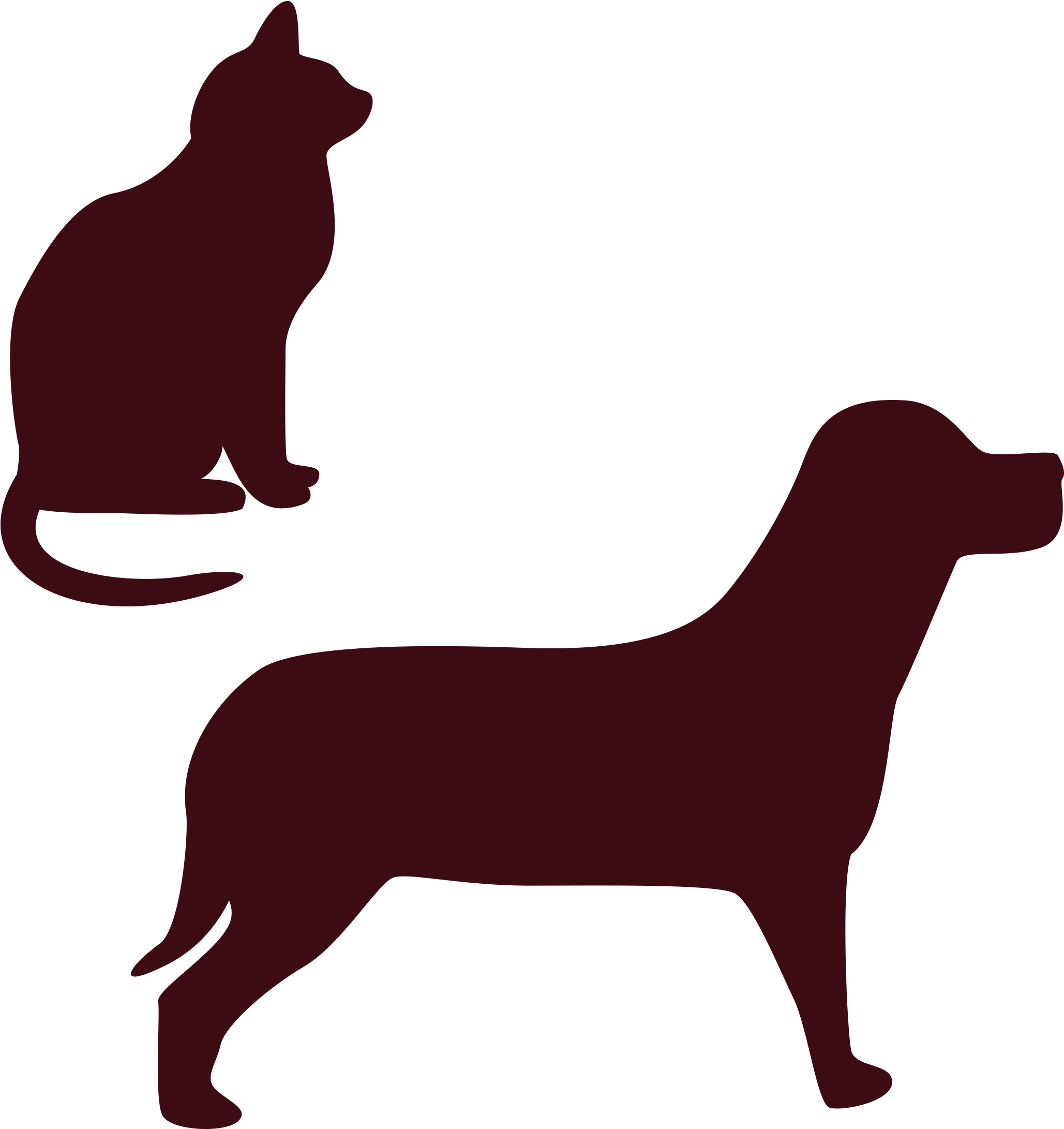 2362 X 2362 19 - Black Cat (2362x2362), Png Download