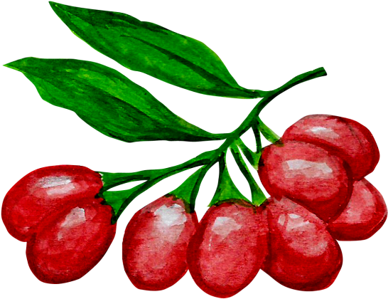 Goji Berries - Jujube (866x650), Png Download