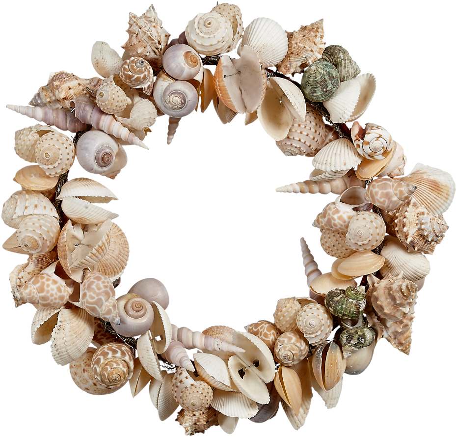 Clip Art Images - Shell Wreath Png (1100x1091), Png Download
