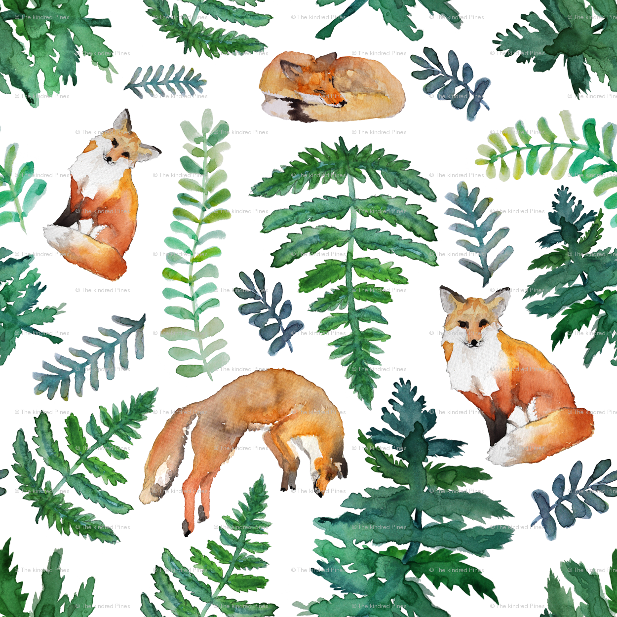 Red Fox (1250x1250), Png Download
