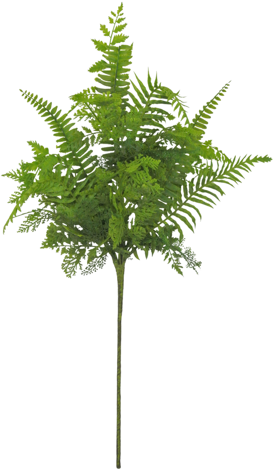 Pond Pine (550x943), Png Download