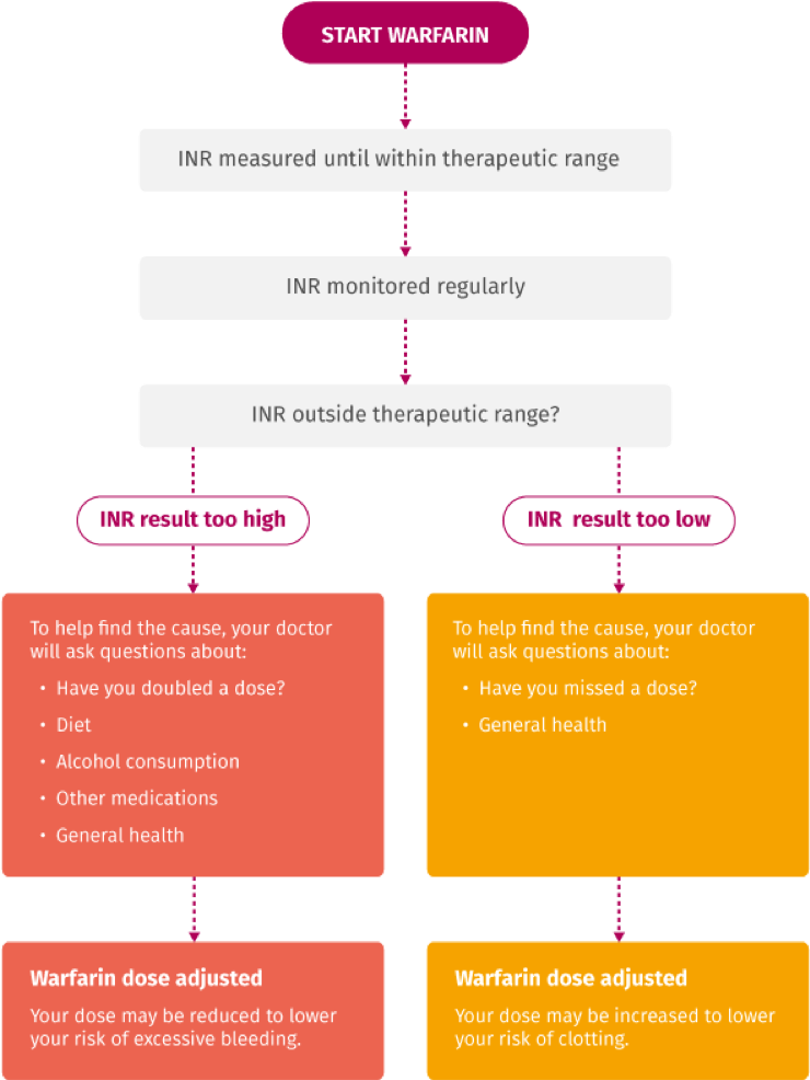 Flow Chart Of Warfarin Vkas Therapy And Inr Testing3 - Difference Between Normal And Therapeutic Diet (939x1065), Png Download