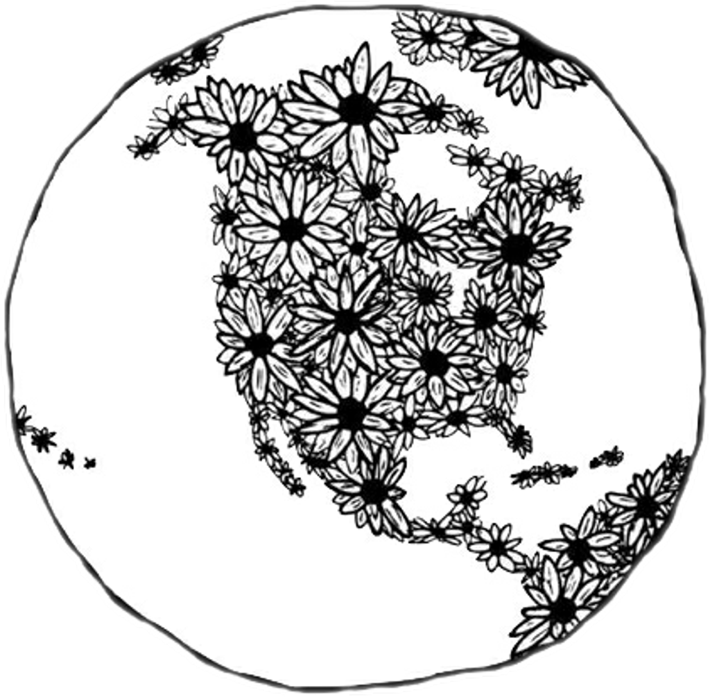 Presidents Day Black And White Clipart - Earth Drawing (1024x1005), Png Download