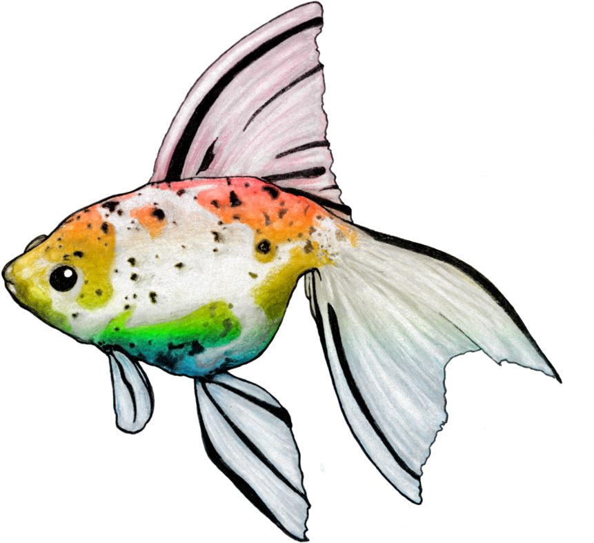 Rainbow Golfish By Nickidoodles - Bony-fish (861x787), Png Download