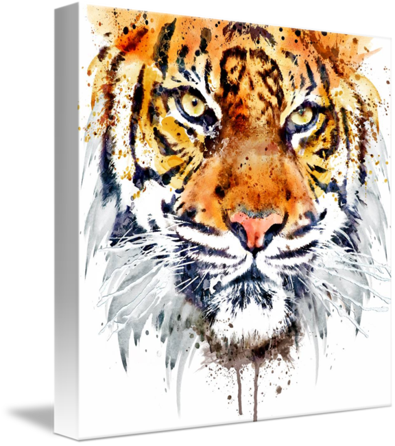 "tiger Face Close-up" By Marian Voicu, Shown As A Medium - Tiger Face Png Hd (576x650), Png Download