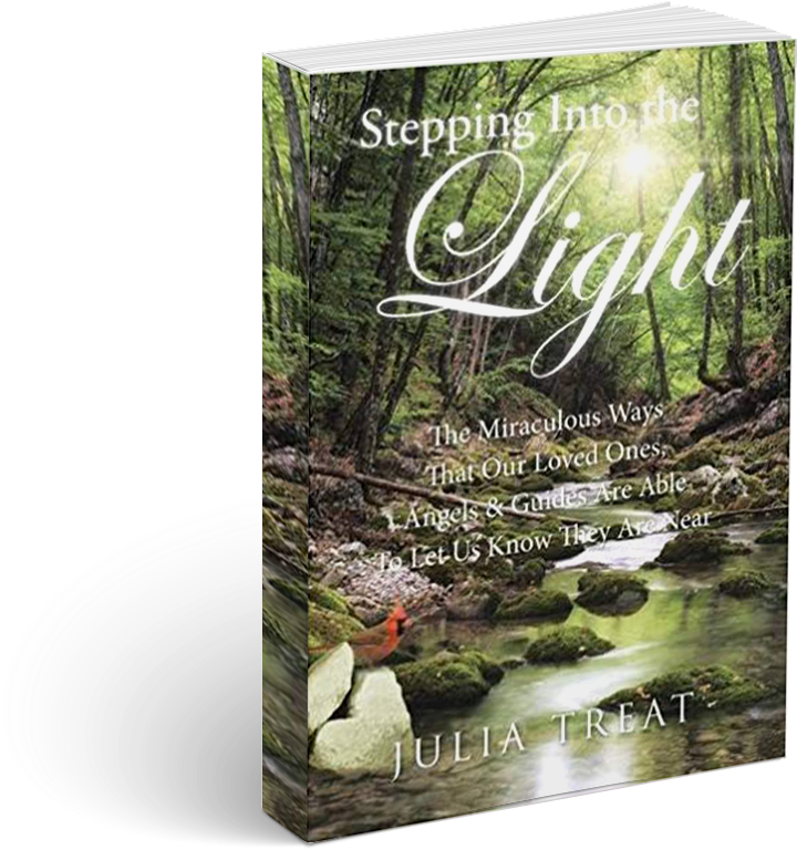 Stepping Into The Light The Book The Miraculous Ways - Gila Monster (810x810), Png Download